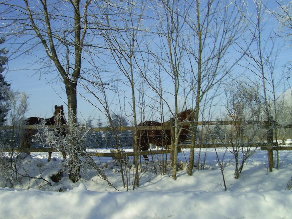 Haus Maria Apartamento Olmscheid Quarto foto